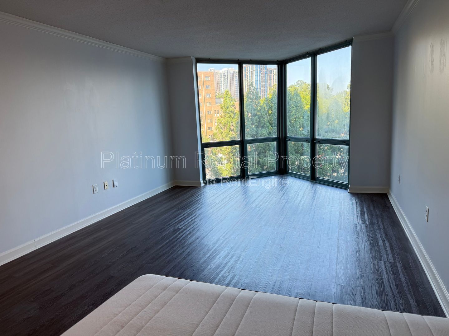 Amazing Studio in Buckhead for rent by Platinum Property Management Services, Inc. property image