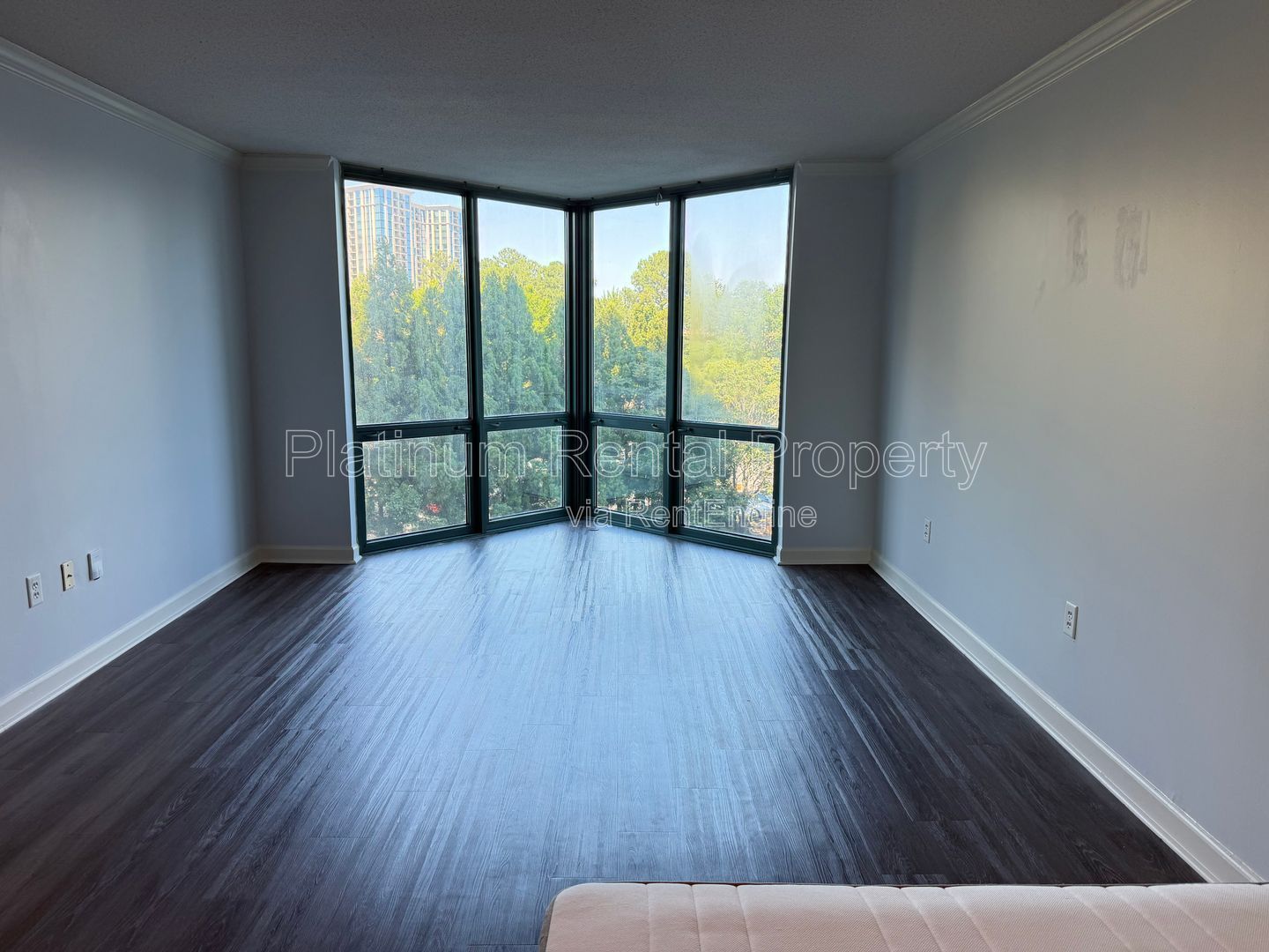 Amazing Studio in Buckhead for rent by Platinum Property Management Services, Inc. property image