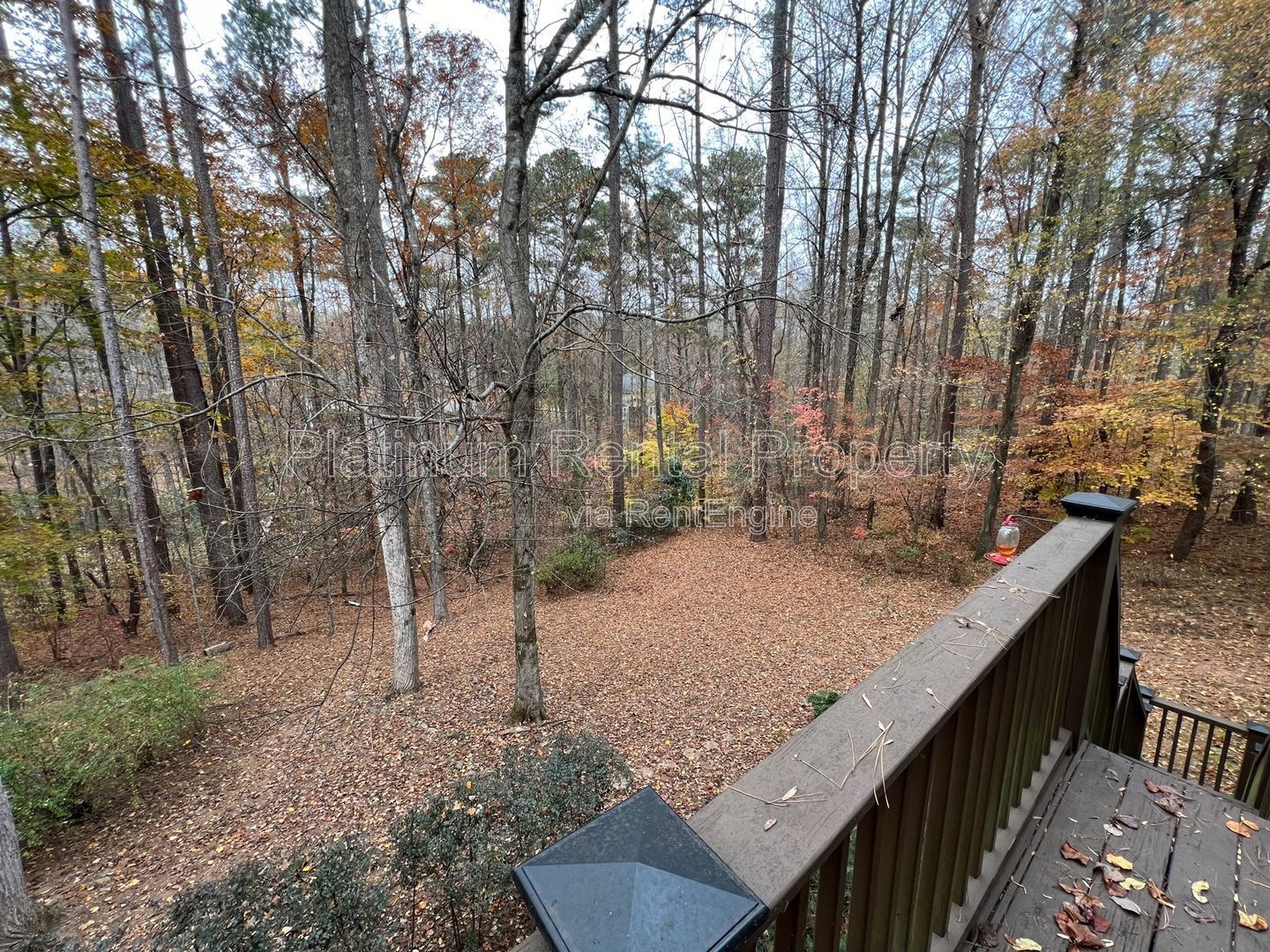 4 Bedroom home for rent in Cumming by Platinum Property Management property image