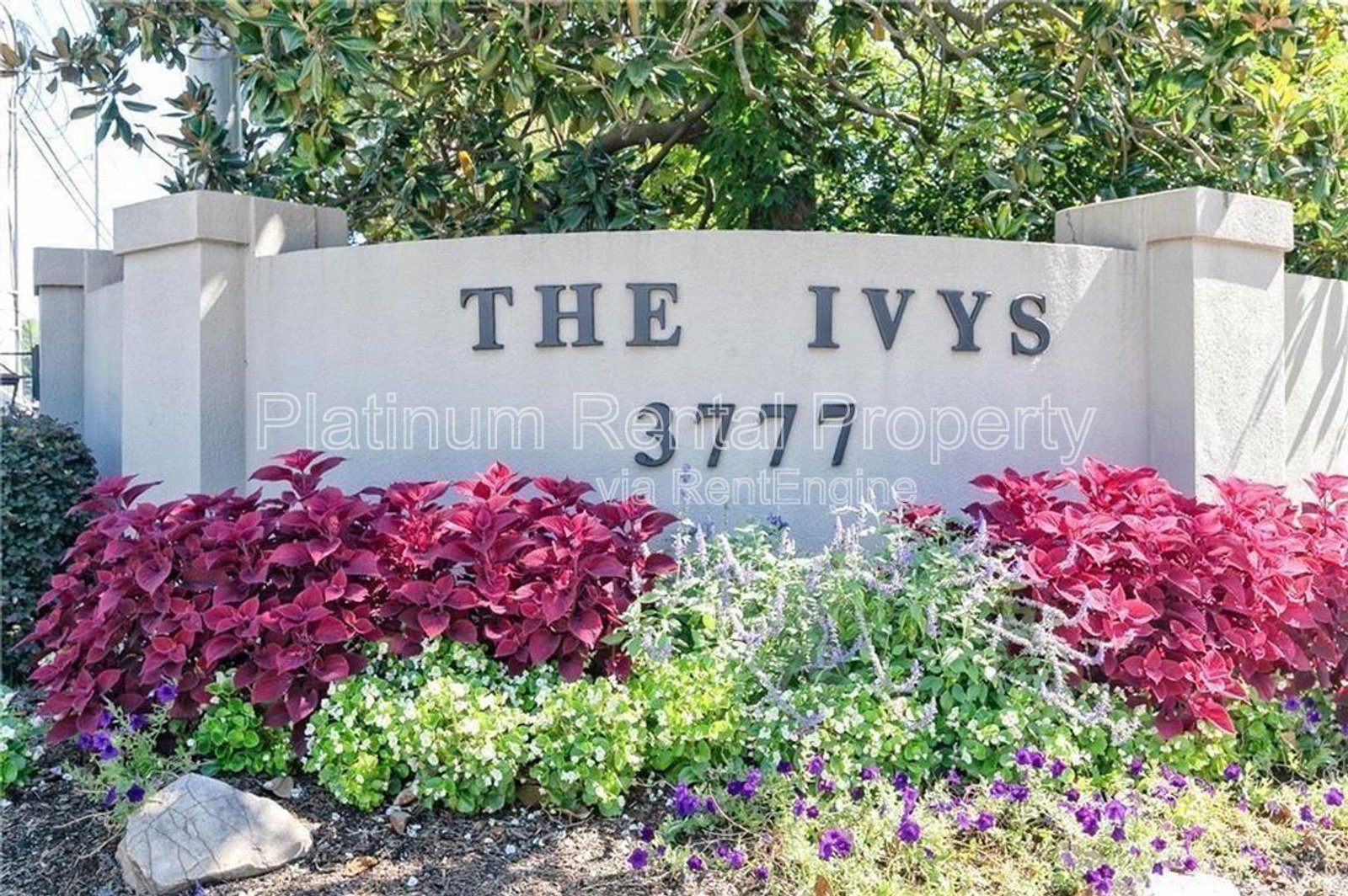 17 Ivy Trl Ne property image