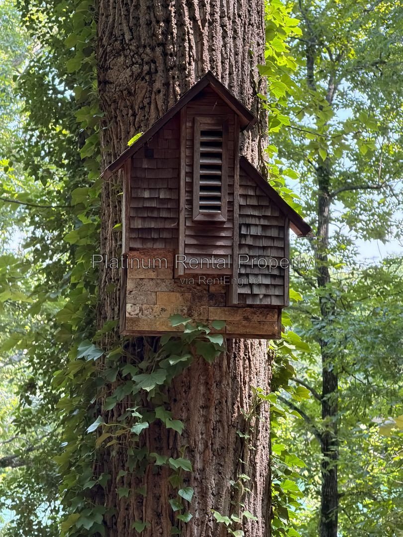 Lake Cottage for rent in Gainesville by Platinum Property Management Services, Inc. property image